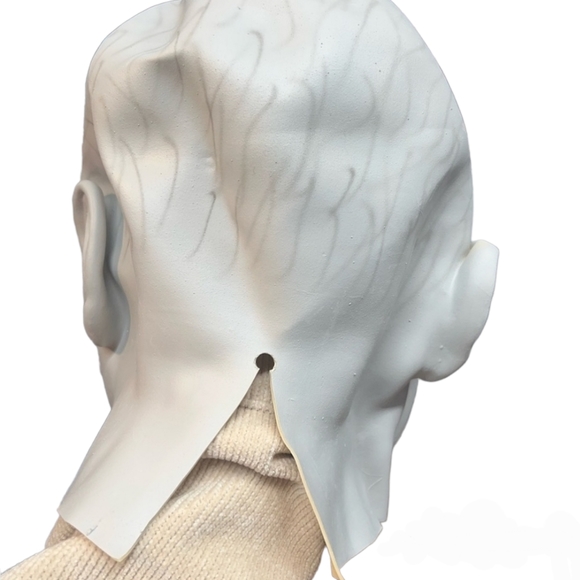 Harry Potter- Lord Voldemort Adult Mask - Picture 2 of 4